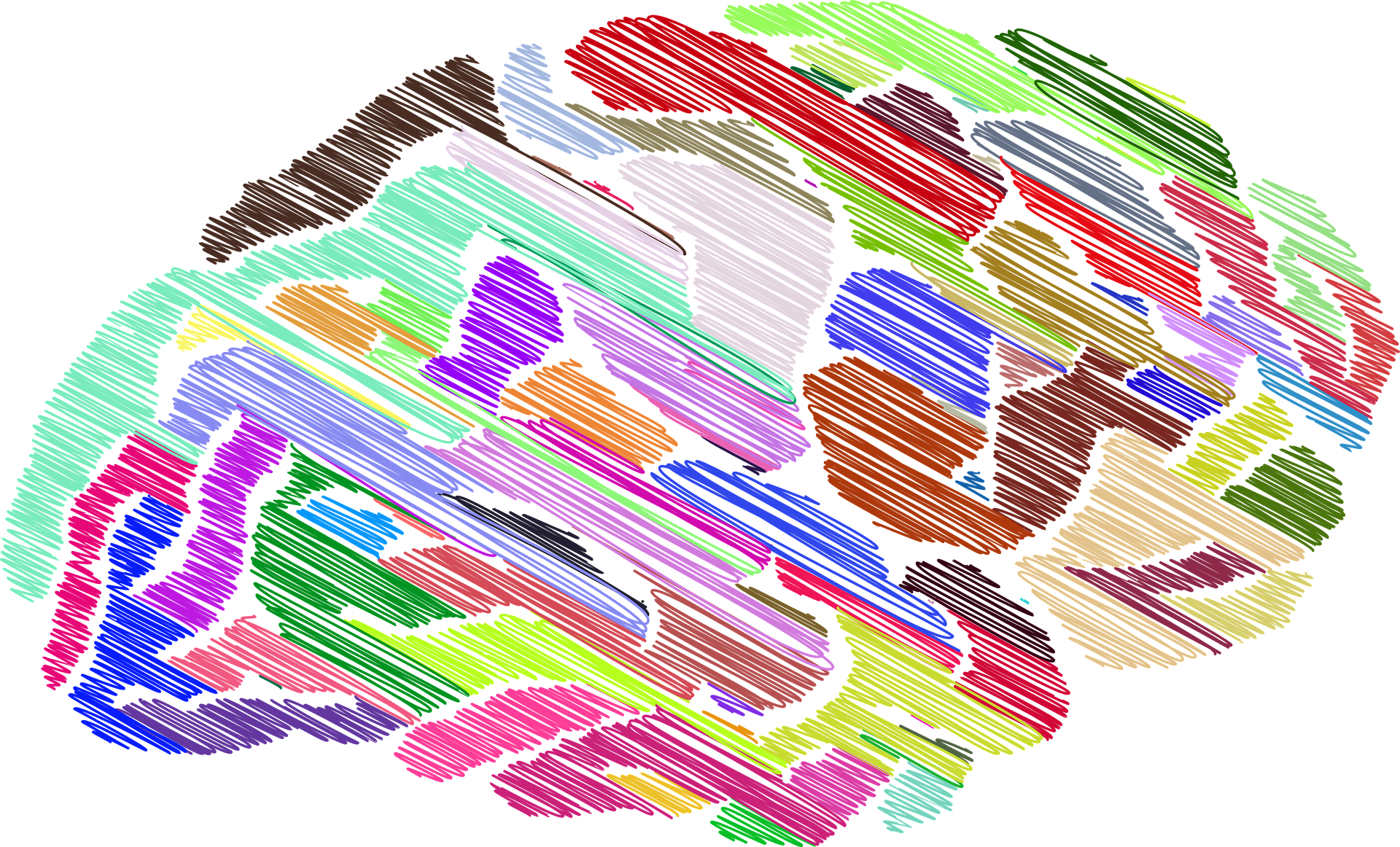 Graphic of brain shaded in multiple colours